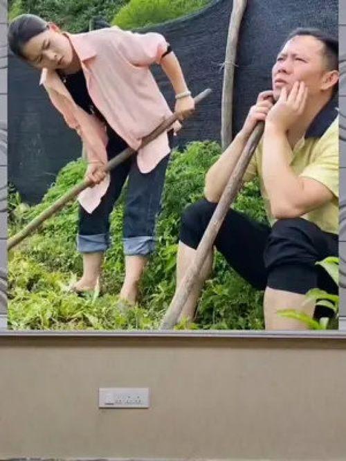 娱乐八卦吃瓜群众,揭秘明星幕后故事，吃瓜群众狂欢时刻  第1张